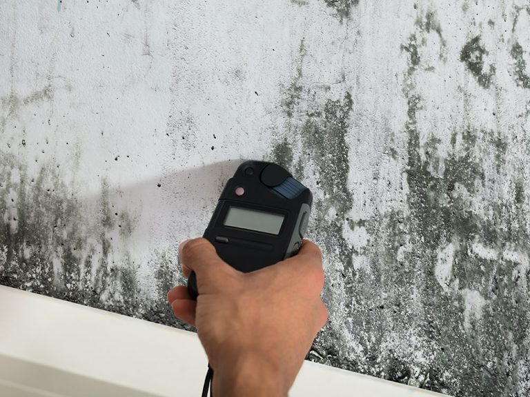 Close-up of hand measuring wetness of moldy wall