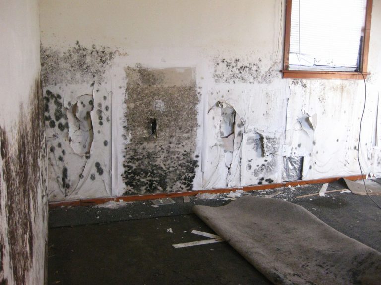 Post remediation testing by SafeAir Certified Mold Inspection